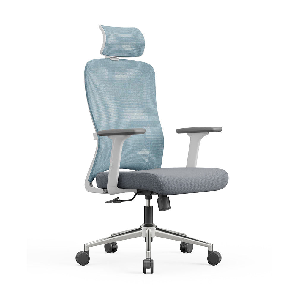 Scaune de birou ergonomice INVINCIO