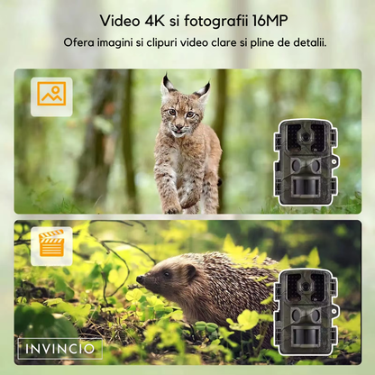 Camera de vanatoare, Invincio Hunter Trail 4K, cu senzor miscare, vedere nocturna IR, rezistent la apa, ecran 2.0 inch, detectie 10m, inregistrare video si foto simultan, alimentare baterii AA, ideala pentru observare fauna sau securitate, camuflaj