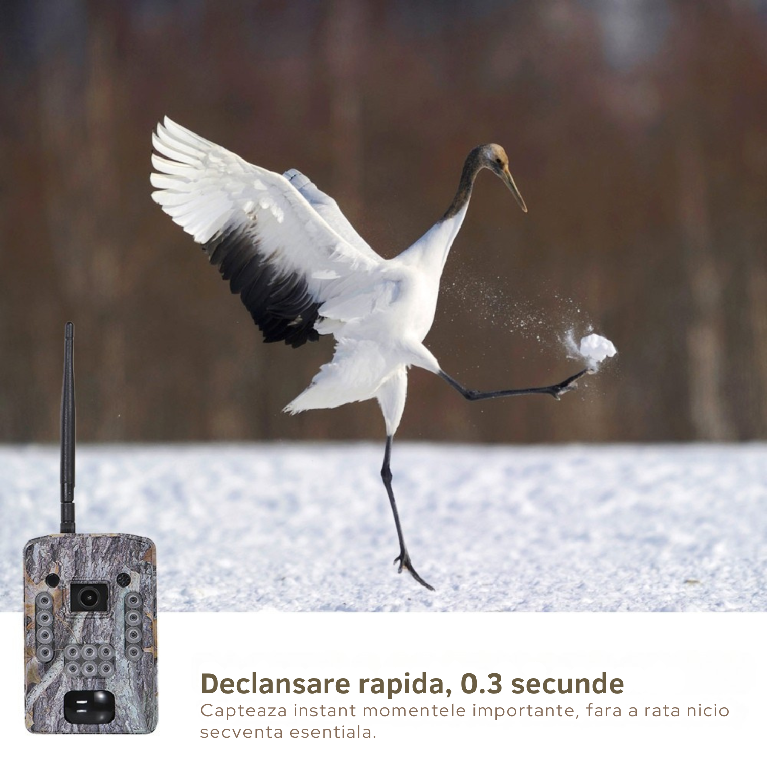 Camera Supraveghere Invincio Hunt, Full HD 1296P, Suporta SIM 4G, Panou Solar 3W, Vedere Noctura IR, Detectie Miscare Rapida 0.3s, rezistent la apa, Aplicatie Mobil, Slot micro SD, camuflaj