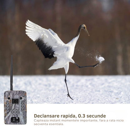 Camera Supraveghere Invincio Hunt, Full HD 1296P, Suporta SIM 4G, Panou Solar 3W, Vedere Noctura IR, Detectie Miscare Rapida 0.3s, rezistent la apa, Aplicatie Mobil, Slot micro SD, camuflaj